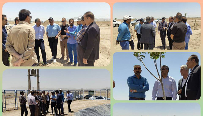 پساب تصفیه‌خانه فاضلاب زاهدان به پارک جنگلی رسید